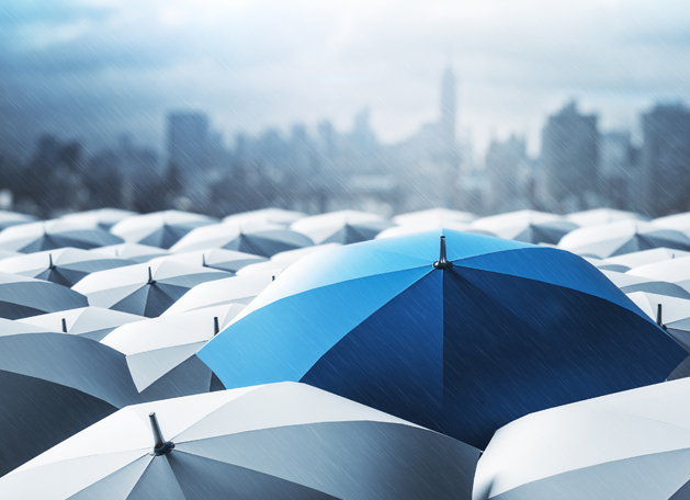 Management and Agent Services